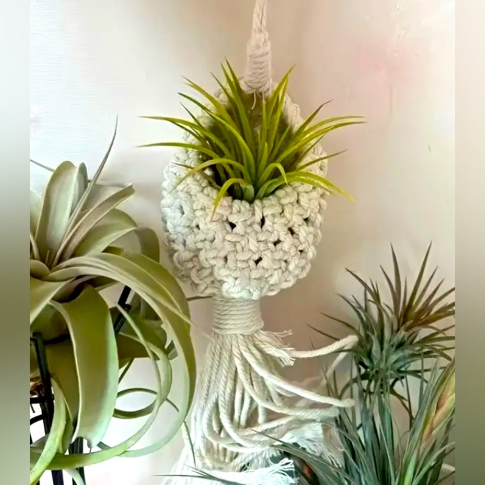 Hand crafted macrame plant hanger